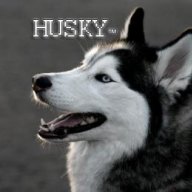 Husky™