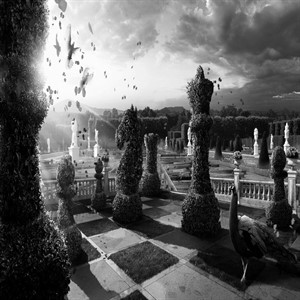 #DarkGarden
