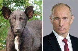 KhLj`
