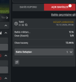 Ekran görüntüsü 2025-12-10 110428.png