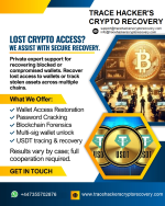 New Banner 44.png New Banner 44.png